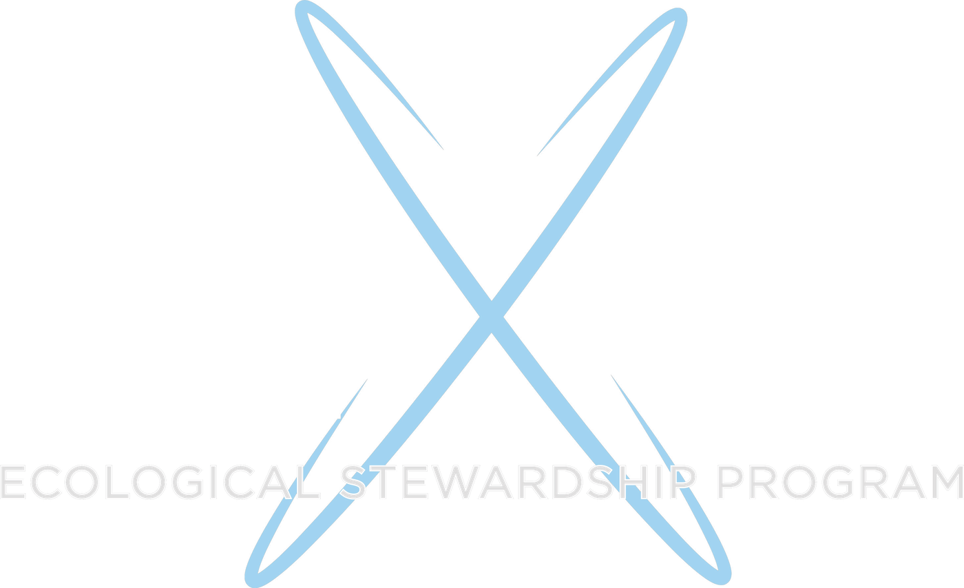 NEXUS logo
